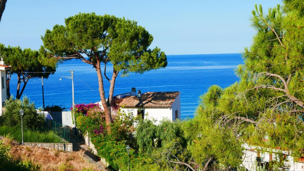 Vista Mozzafiato Sul Mare!
